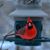 Chris Helterbran's profile image