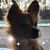 Jayne Beckett's profile image