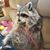 Kurt Thomson's profile image