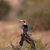 Agus Wu's profile image