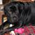 Gretchen Group's profile image