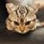 Jan May Smith's profile image