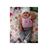 Emily Gonzales Rivera's profile image