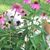 Beth McKenzie Ball's profile image