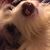 Karen BeCraft Hebert's profile image