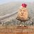 Thomas Williams's profile image