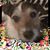 Linda Maglaughlin's profile image