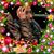Juana Nuno Diaz's profile image