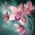 Rebecca Zwer's profile image
