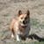 Tom Denise Wiseman's profile image
