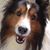 Michelle Borton Maudlin's profile image