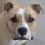 Diane Miller's profile image