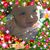Paula Hutcherson Scott's profile image