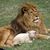 Larry Crell's profile image
