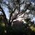 Tracey Moye's profile image