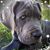 Kimberly Hieman Samonek's profile image