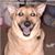 Kaylene 'Elliott' Bush's profile image