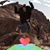 Anne Fabry's profile image