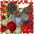 Tammy Satra's profile image