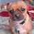 Mary Rodriguez's profile image