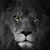 Arbri Toro's profile image