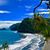 Ivete Ehlich's profile image