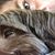 Marta Lorena Treminio's profile image