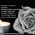 Jessica Celeste Jose Cortes's profile image