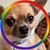 Kat Lashley's profile image