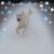 Natascha Lynders's profile image