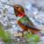 Desiree Gutierrez's profile image
