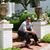 Cesar Castillo Bertelli's profile image