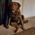 Christie Herweck's profile image