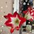 Kirsten Huber's profile image