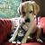 Katharine Doyle MacLeod's profile image