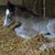 Robyn Thompson's profile image