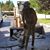 Andrew Goetschel's profile image