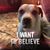Deirdre Carr's profile image
