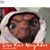 Wayne Ott's profile image