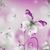 Kelly McDonald Sturm's profile image
