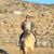 Cynthia Ditman's profile image