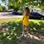 Sandra Arroyo's profile image