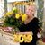 Lois Elfgen's profile image