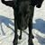 Amanda Anderson's profile image