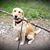 Dawn Otterblad's profile image