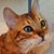 John Spaulding's profile image