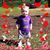 Debbie Maxfield's profile image