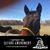 Linda Graleski's profile image