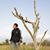 Aziz Ahmad Subagyo's profile image