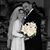 Toni Tarantino Meloche's profile image